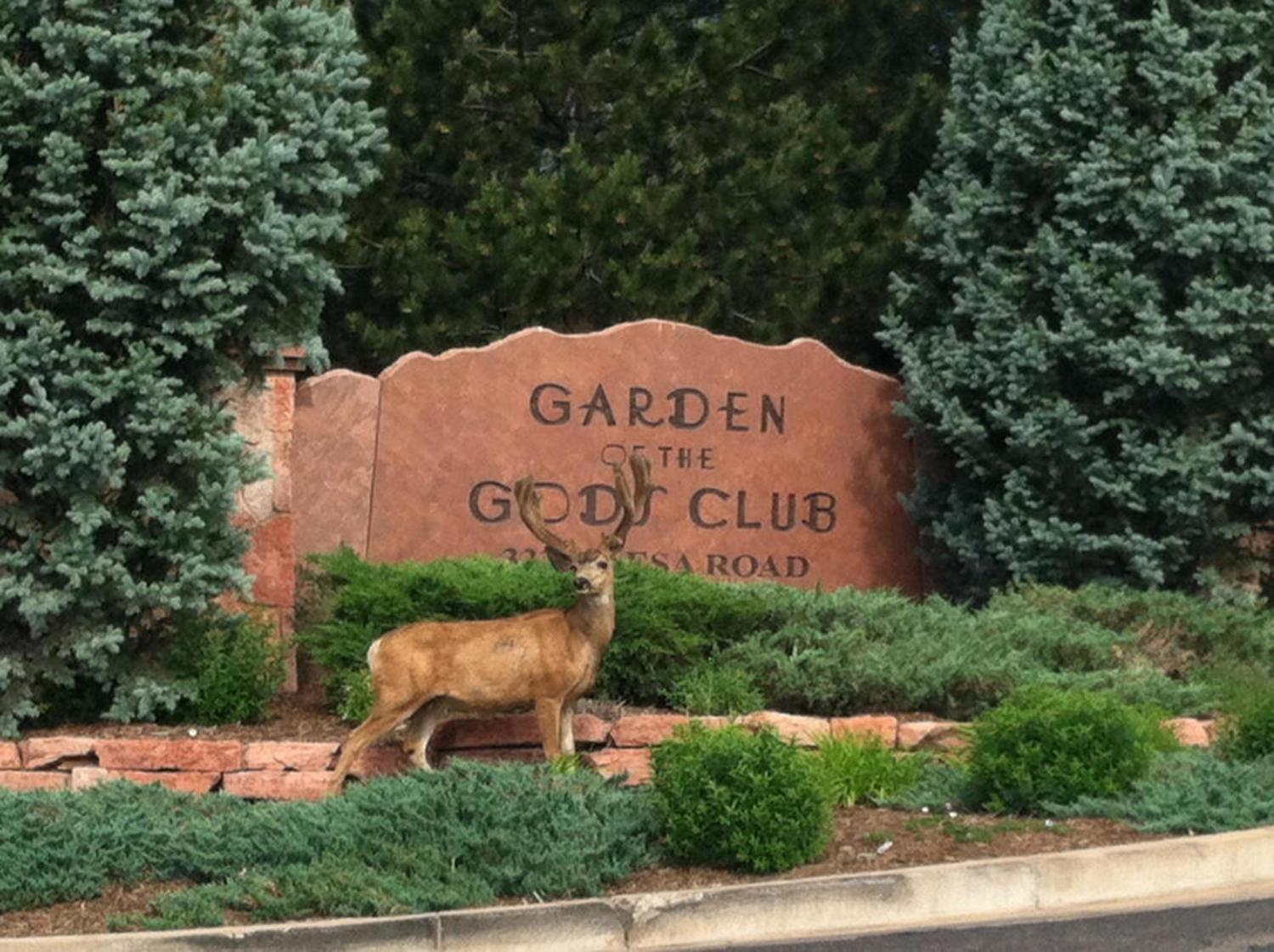 Garden Of The Gods Resort & Club Colorado Springs Exterior photo